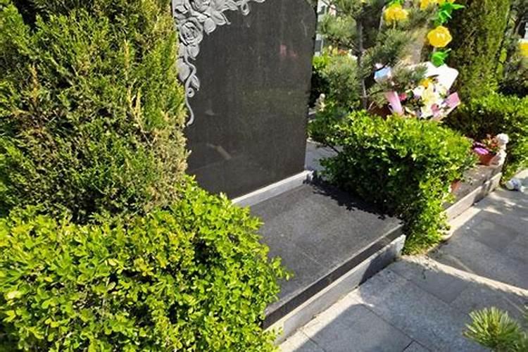 清明节上坟带什么供品 清明扫墓十大禁忌事项