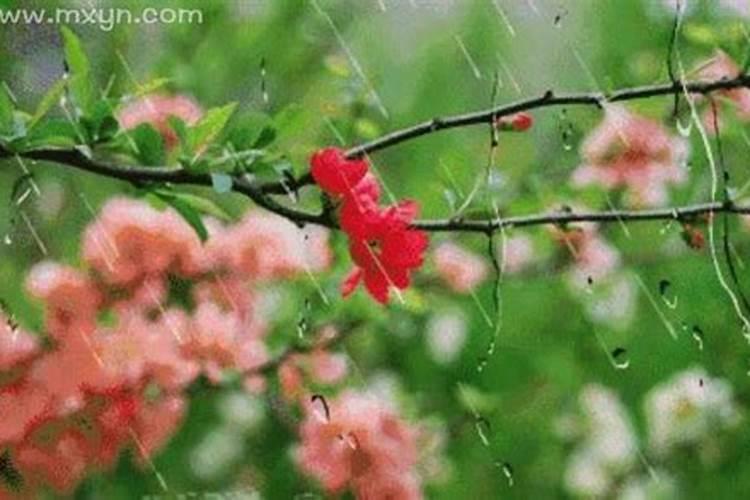 梦见下好大的雨是什么征兆