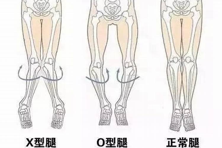 雨字取名女孩有寓意属蛇最搭的名字有哪些