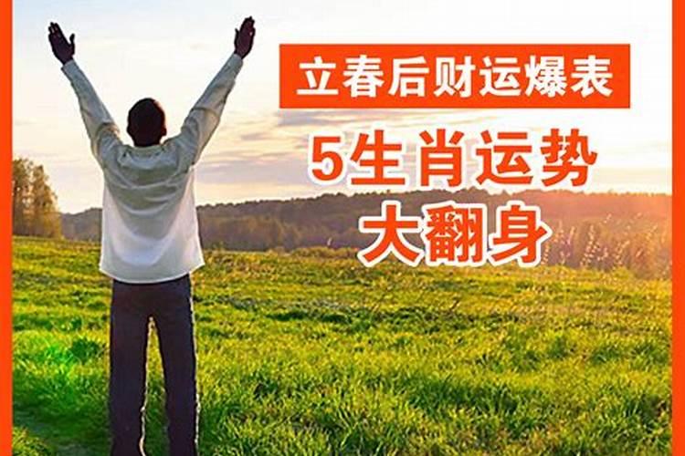 生肖狗立夏当周要注意些啥