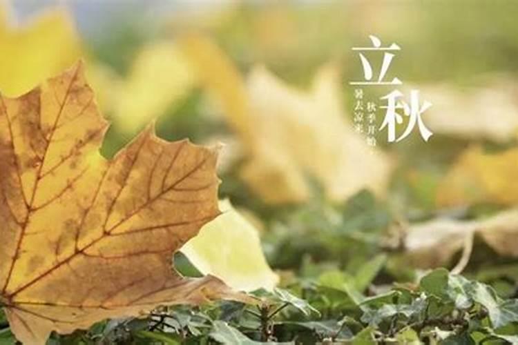 立秋有哪些传统风俗