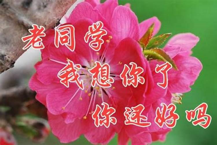 梦里梦见老同学