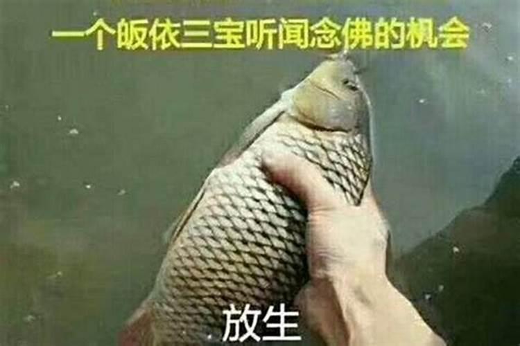 什么纹身招财最旺