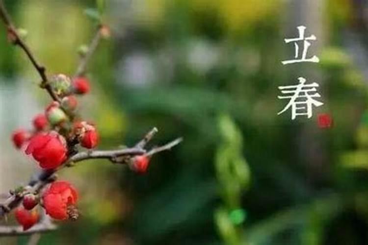 童子命的人换过替身后生活会顺利吗