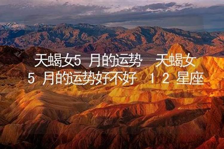 为啥天蝎女离婚率高