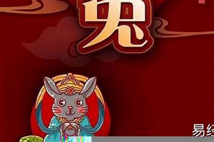 24年属兔的总体运程每月运程详解