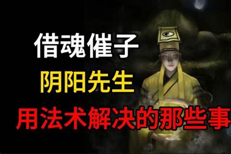 82年男狗和77年男蛇合伙做生意可以吗？