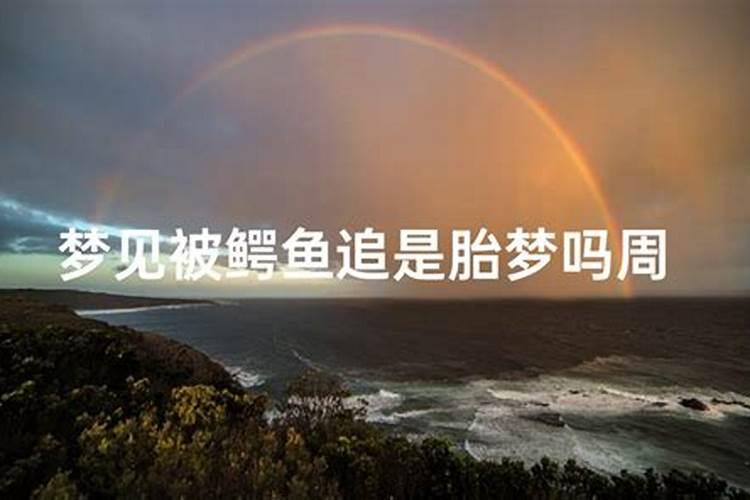 梦见海浪是胎梦