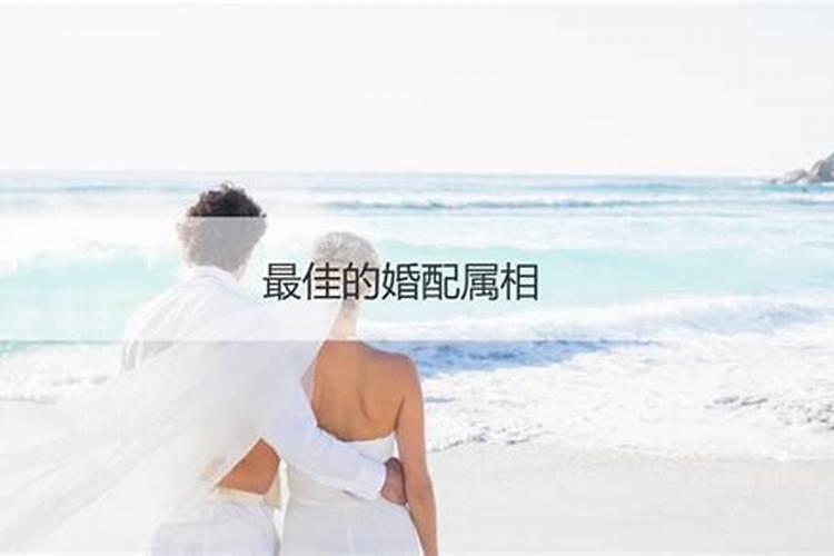 每年农历九月初九是什么日子