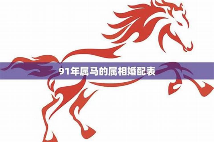 属马最佳婚配前十名属相,属马配什么属相最好