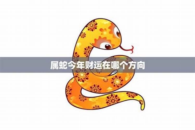 1989属蛇人今年运势