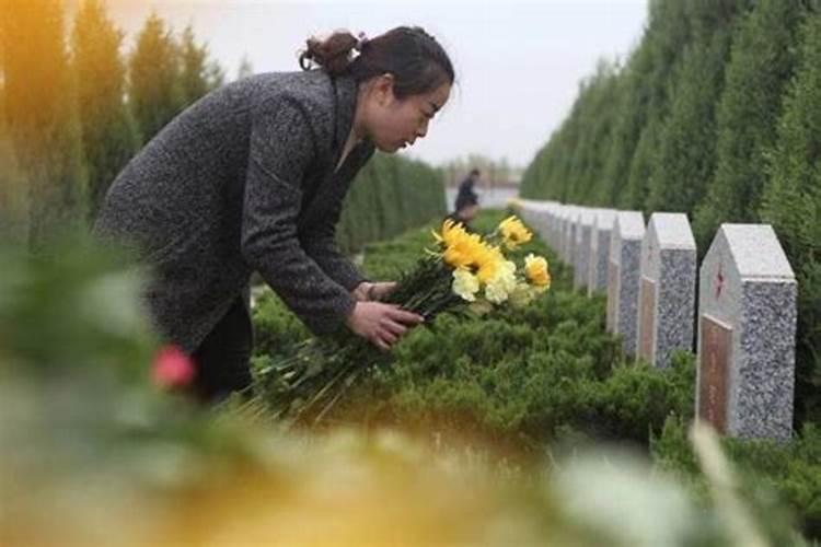 已婚女人梦见黑蚂蚁