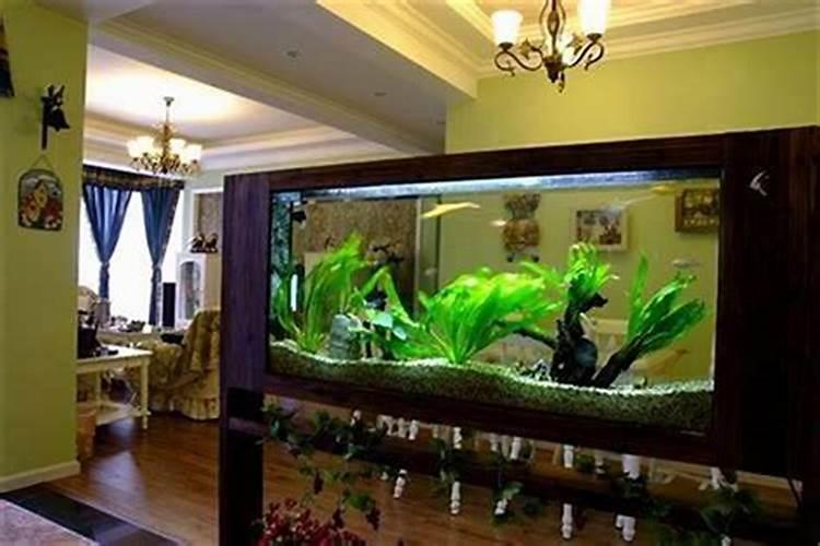 昆明家居风水鱼缸哪家批发公司好