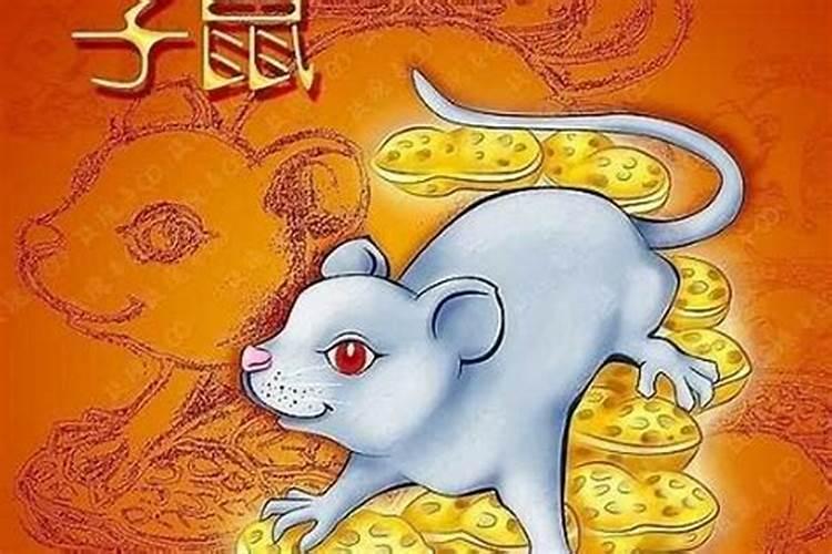 84年的鼠2025年的运势及运程