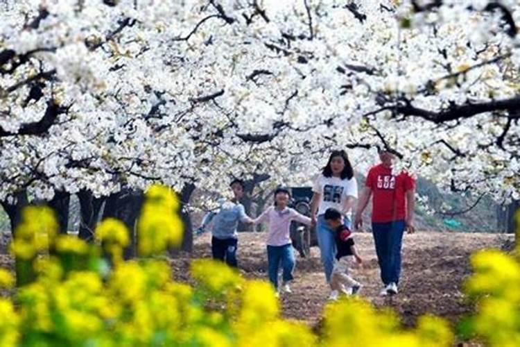 清明节为什么踏青 清明节踏青的起源由来