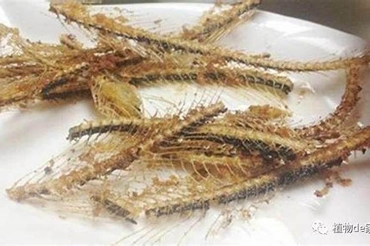 梦见池塘里的鱼被吃的只剩骨头了