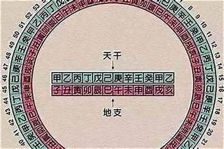 生辰八字中两个龙两个鸡是什么意思？