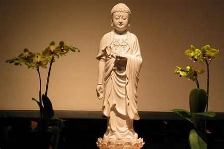 同性恋到底是什么因果