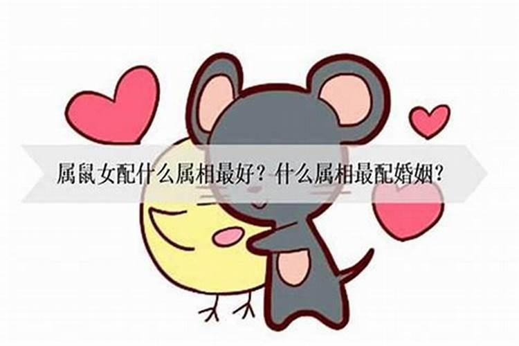 我是鼠情人是牛我两能走到一起吗？