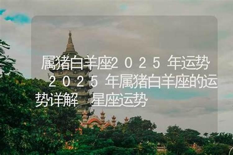 2015年出生的,今年的运程怎么样,时候属猪？