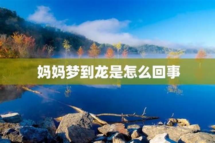 梦见龙是什么预兆周公解梦