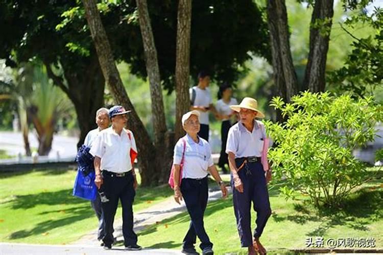 南山长寿文化节简介