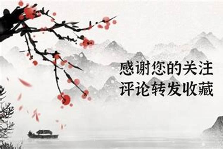 女命日坐伤官代表什么
