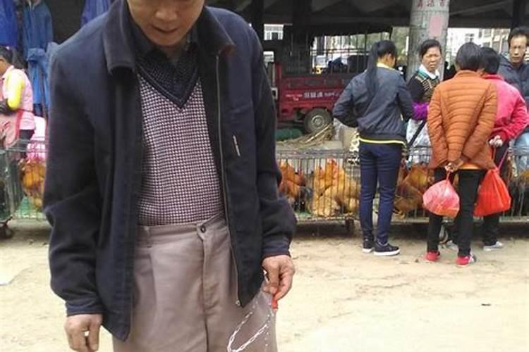 梦到大白狗是什么预兆？