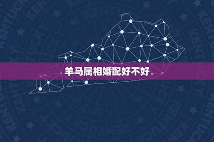 为什么马羊是最好婚配 马羊婚配婚姻幸福富贵荣华？