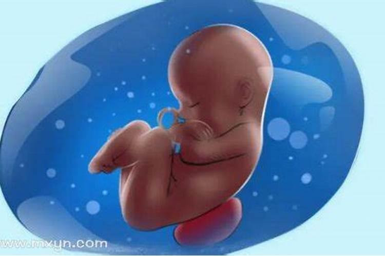 梦见怀孕羊水破了什么意思？