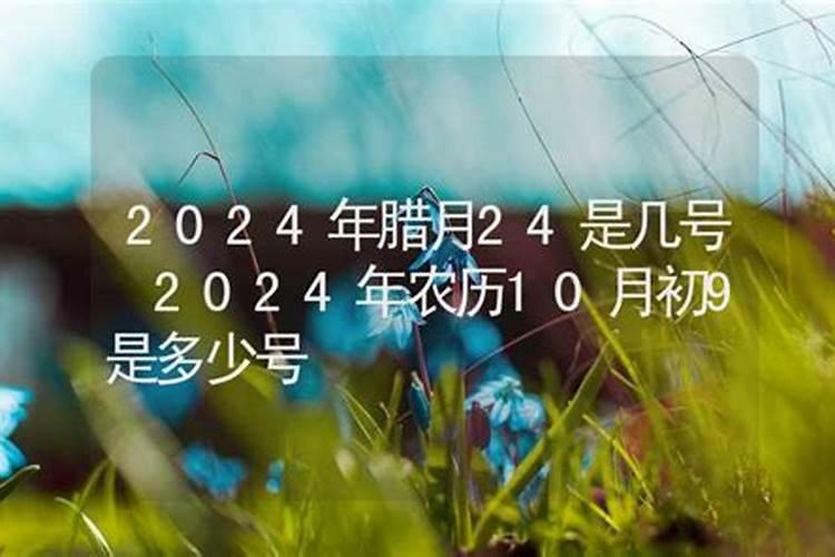 立冬后吃什么好