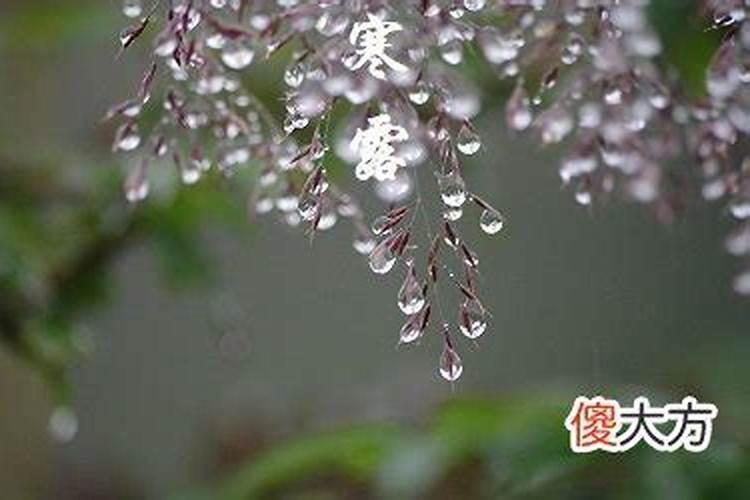 寒衣节是哪一天纪念谁？属龙的人寒衣节出生好吗？