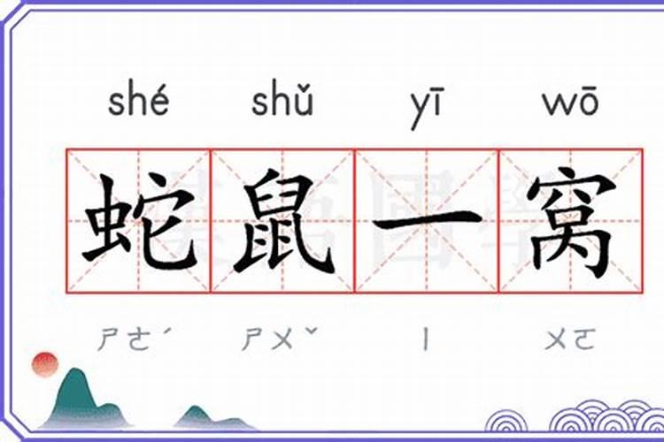 属蛇的和属老鼠的在一起好不好