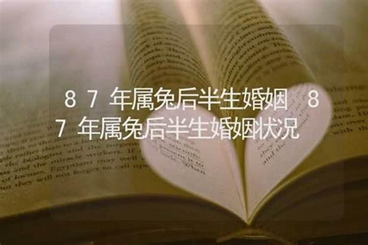 1982年属狗男后半生婚姻2024