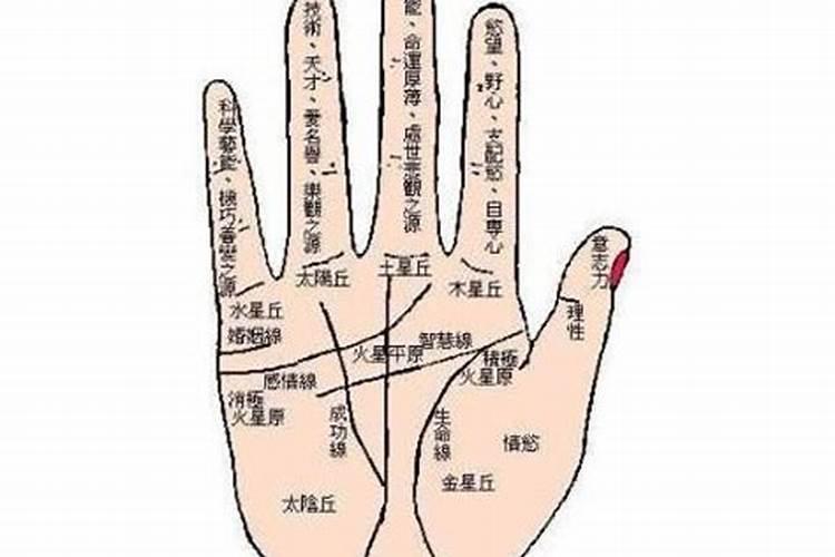 梦到亲人生重病会怎样