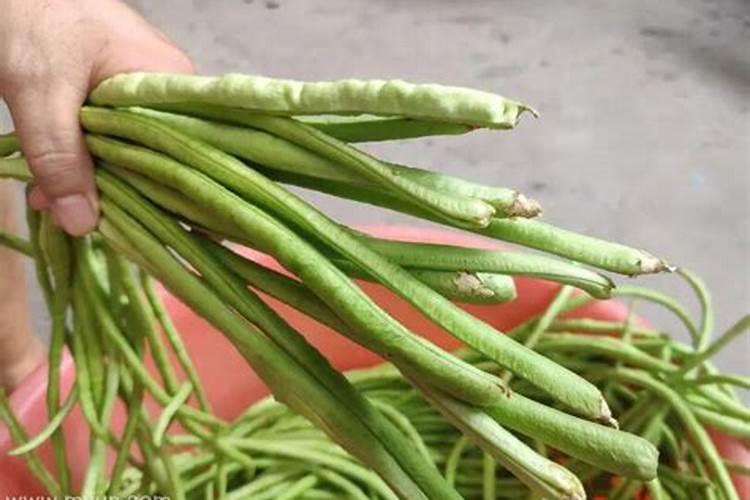 梦见摘扁豆是什么意思？