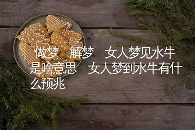 梦到水牛的寓意 梦到水牛是什么意思