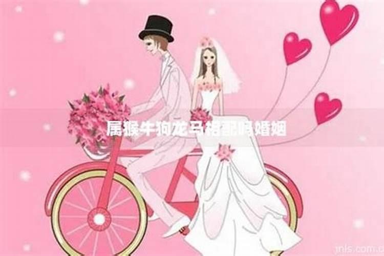 属龙和属马姻缘怎么样