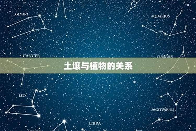 平地木命是什么意思