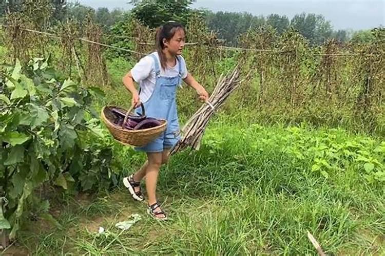 梦见地里的蔬菜的预兆