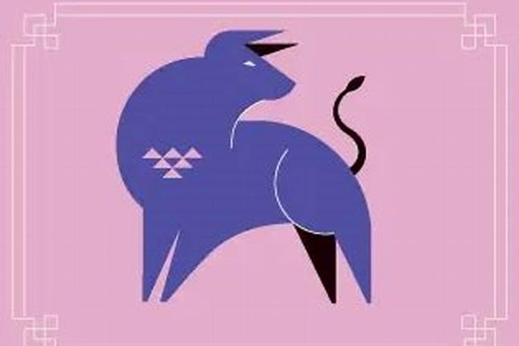 德州彩礼是什么意思啊？