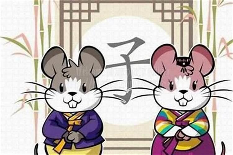 属鼠的和什么属相最配 属鼠的属相婚配表
