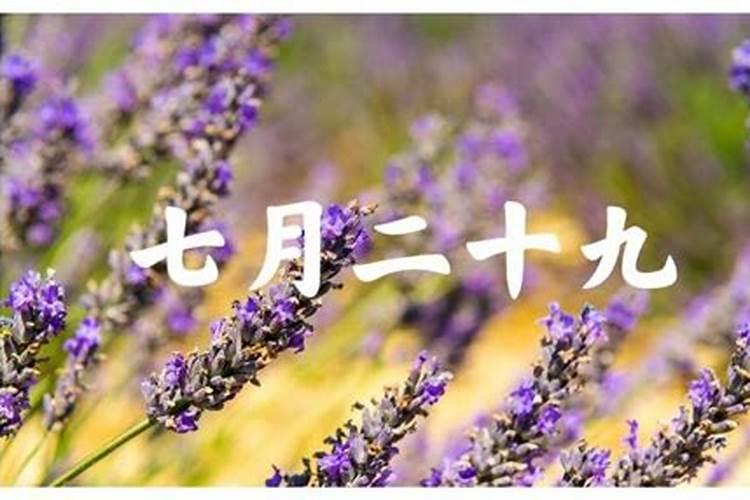 佛教中 唱到莲花朵朵开 是属那部经书