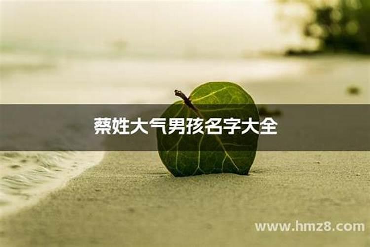姓蔡的男孩独特的名字