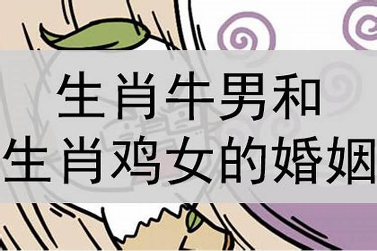 1993男鸡1997牛女缘分 97年属牛女和93年属鸡男好吗