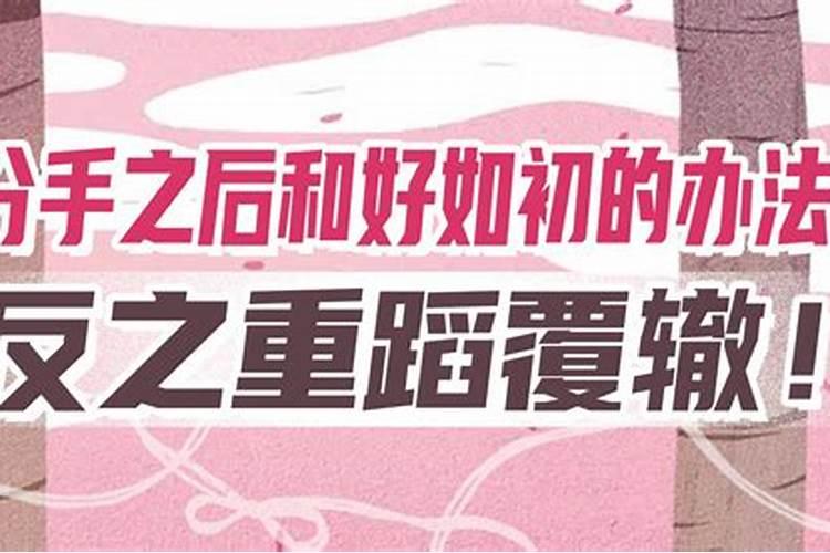 情侣复合的最灵的法术