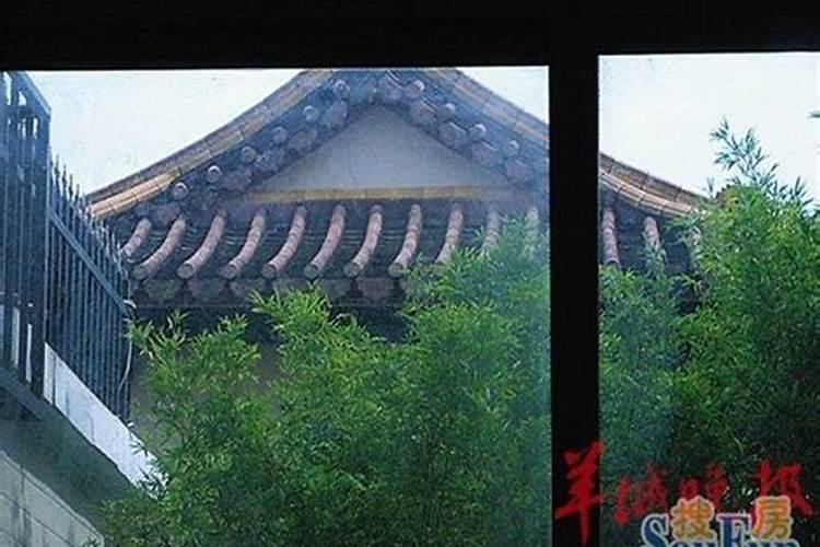 属猪人2025年全年运势及运程