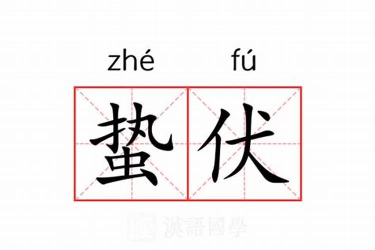 后半生好运福大命大的星座