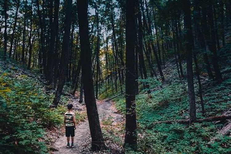 梦见迷路了找不到回家的路的预兆
