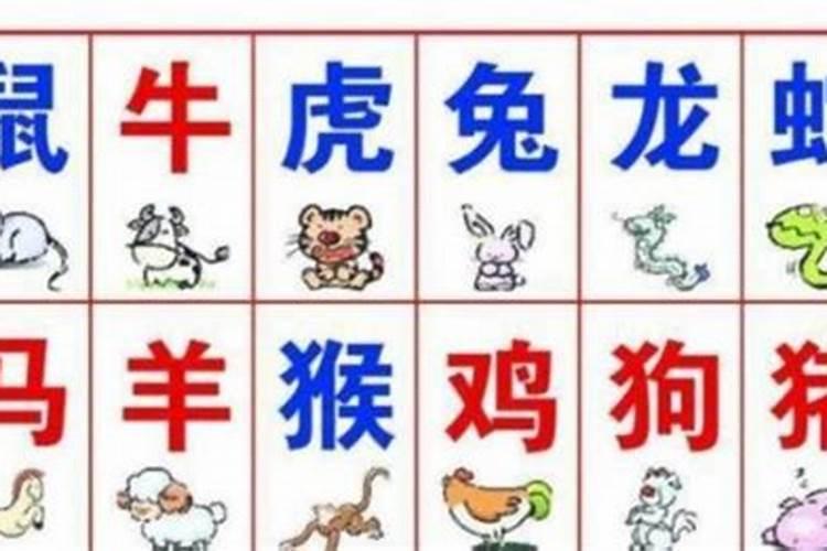 91年8.5午时和97年11.18申时的人八字合吗？